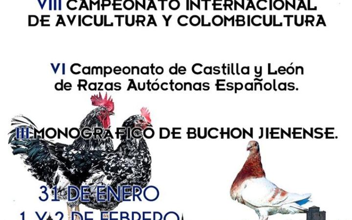Feria Avícola Alba de Tormes (Salamanca)